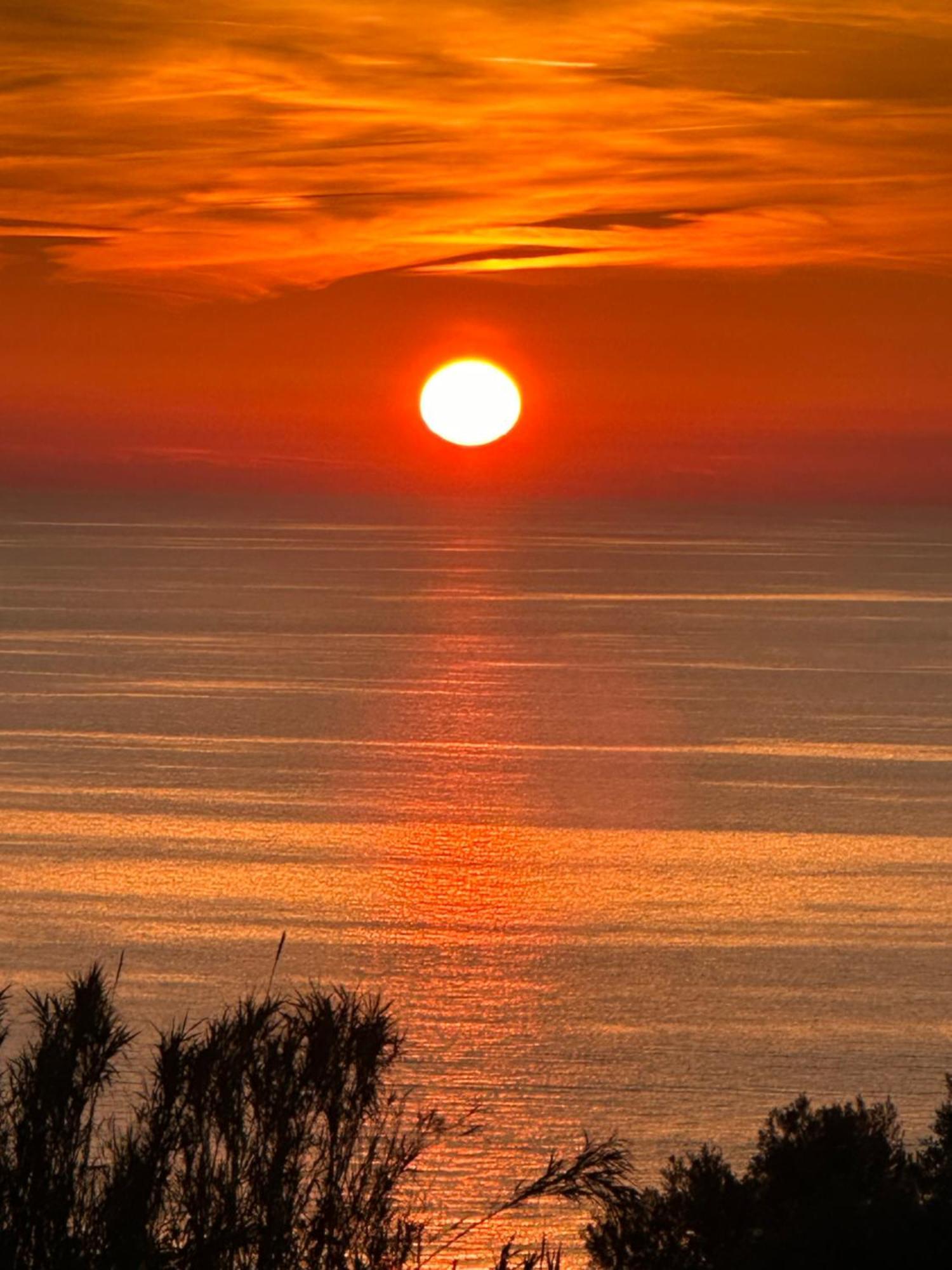 Casa Mimosa Apartment Ischia Exterior photo